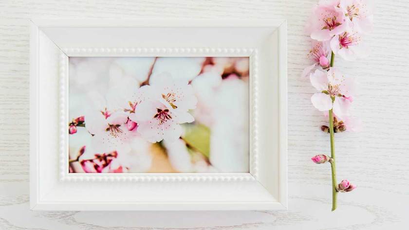 Instantly Share Life’s Special Moments with the New NETGEAR Meural WiFi Photo Frame