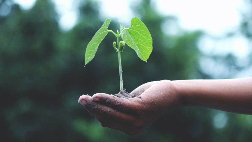 Sustainability and Climate Actions Dominate 2022 Data Center Trends to Watch