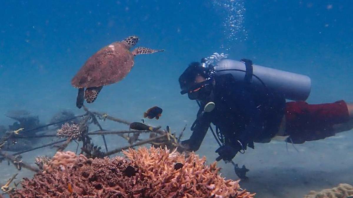 Orange Business and Tēnaka Partnership Boosts Coral Reef Restoration with AI Tech